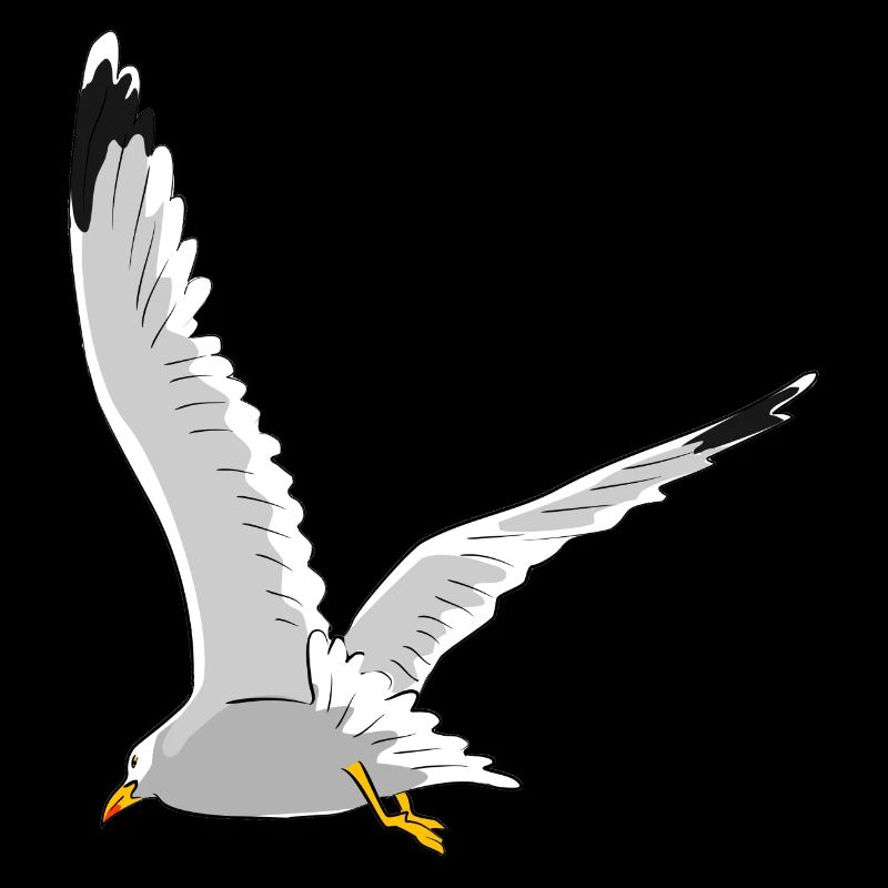 Mouette en vol
