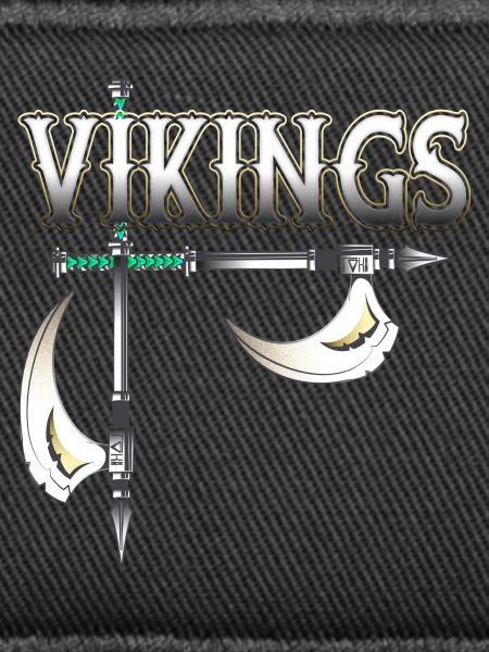 Wikinger Krieger