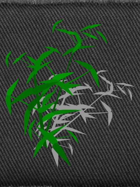 Bamboo with shadow
