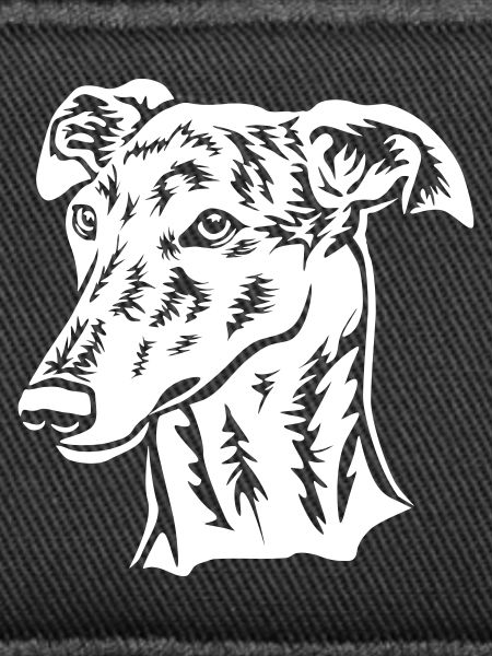 Galgo Head "Black Edition"