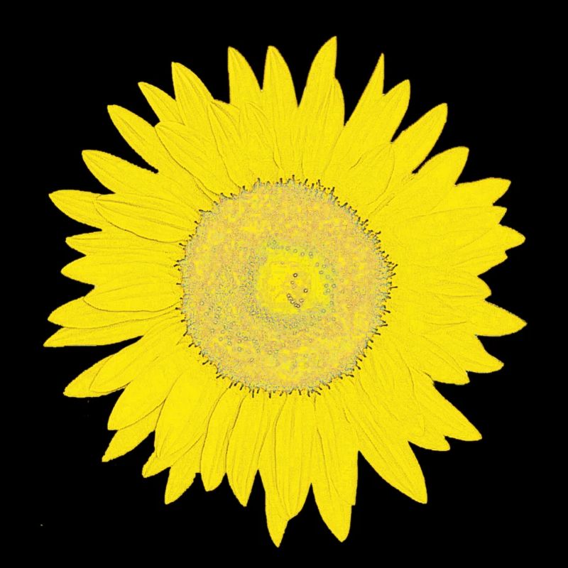 Sunflower in Impressionist Style