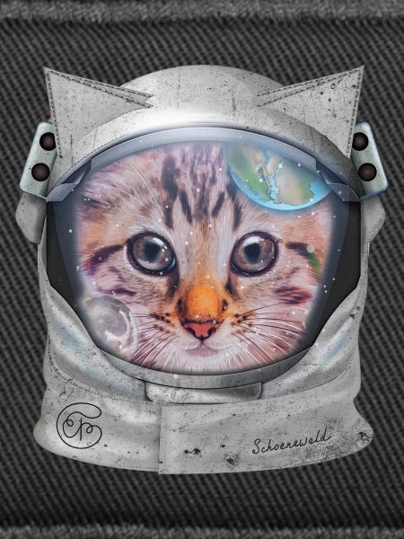 Cat in space