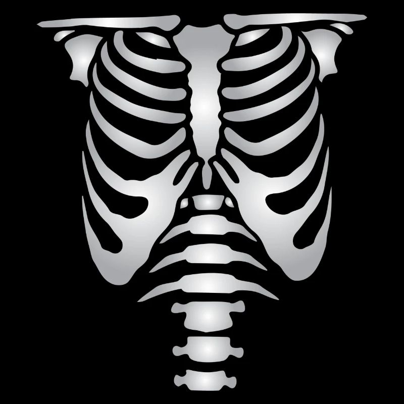 Human skeleton bones torso