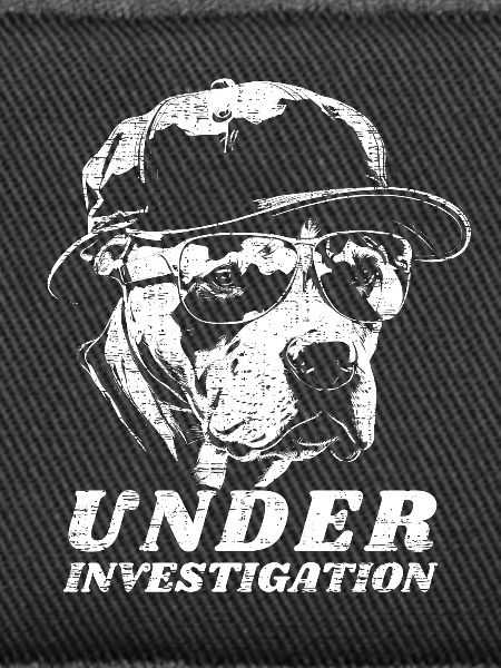 Pitbull - Under Investigation
