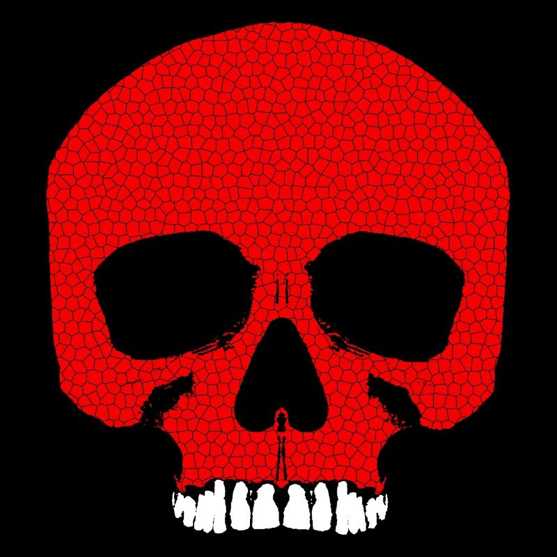 Red Skull with Crack Pattern / Skull