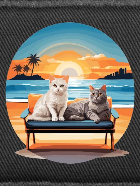 Cats on the sofa