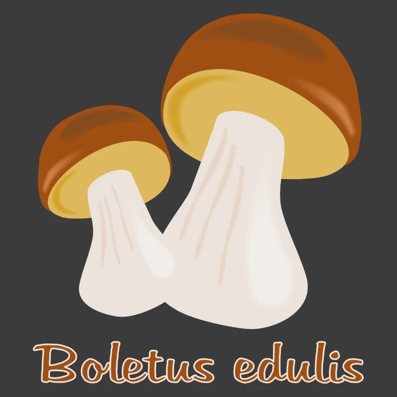 Champignons d’automne