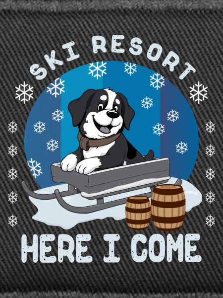 Saint Bernard