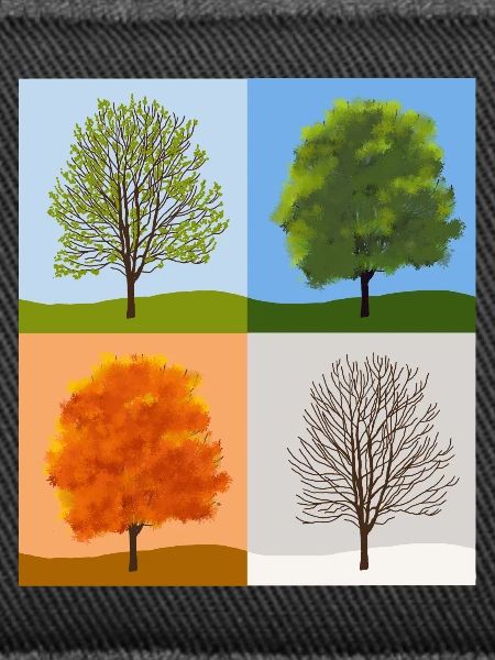 Saisons