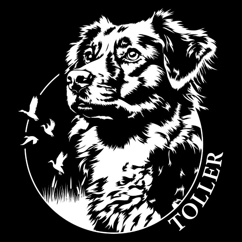 Great Nova Scotia Duck Tolling Retriever Portrait
