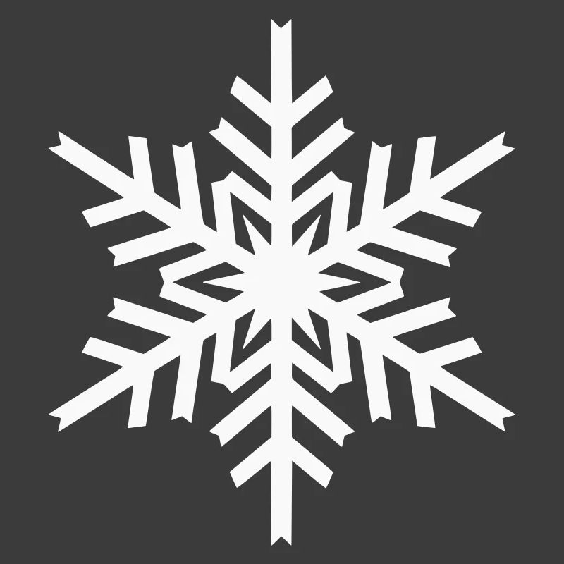 Geometric Snowflake