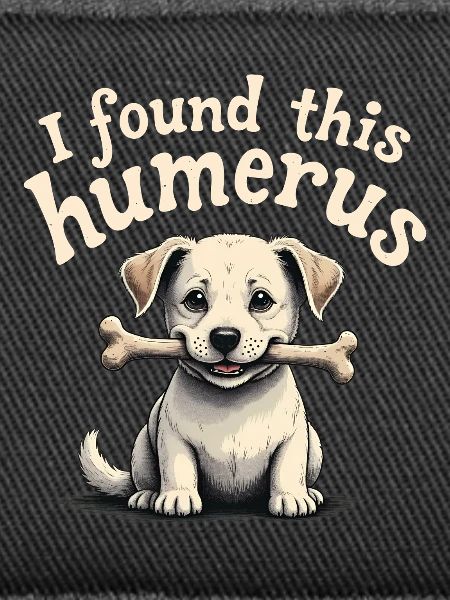 I found this humerus