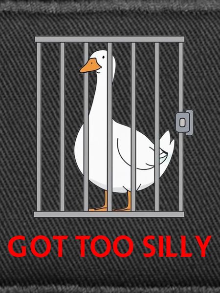 Goose – Got Too Silly