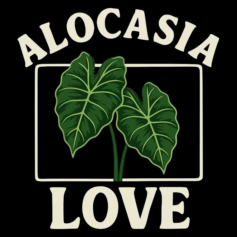Alocasia Love