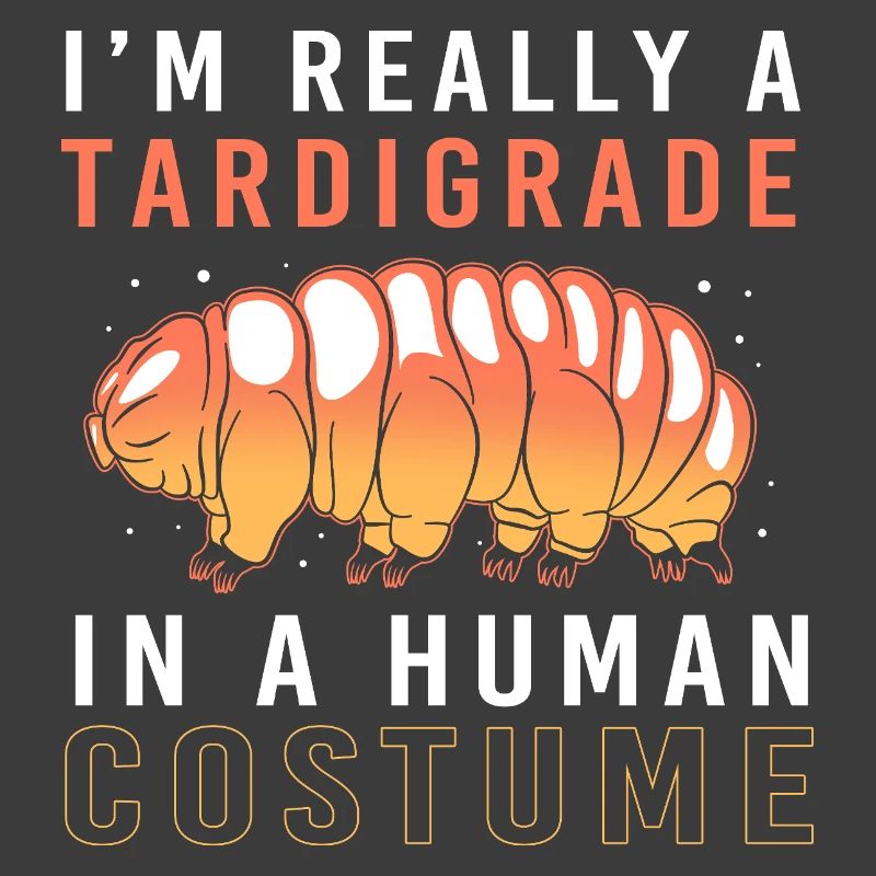 Tardigrade Tardigrade Water Bear Tardigrade