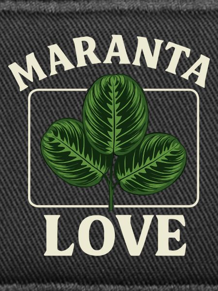 Maranta Love