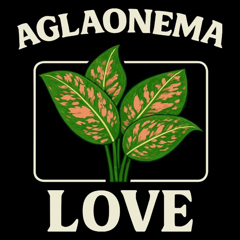 Aglaonema Love