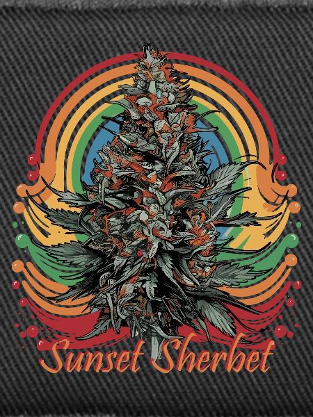 Sunset Sherbet