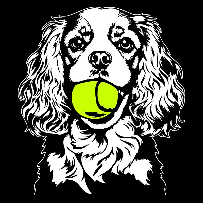 Cavalier King Charles Spaniel Ball Hunde Wilsigns