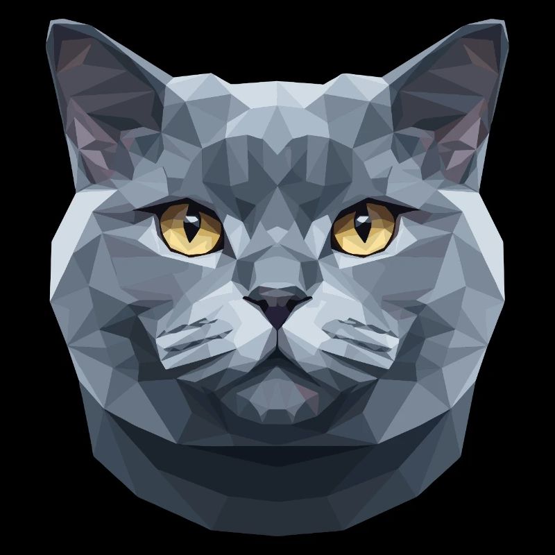 British Shorthair Chat BKH Chat Maman Chats Mignons