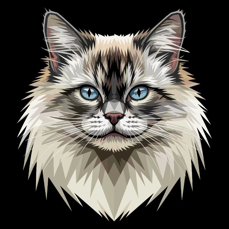 Chat Birman Chat Birman Sacré Chat Birman Mignons Chats Birman
