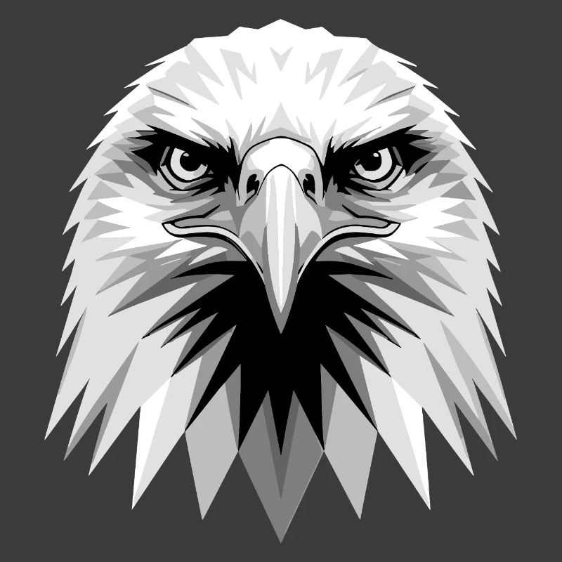 Eagle Bald Eagle Golden Eagle White-tailed Eagle