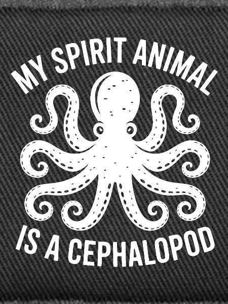 Oktopus Spirit Tier