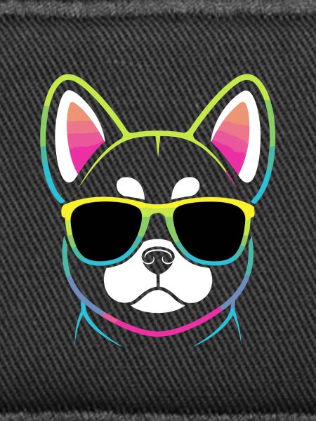 Rainbow Dog with Glasses