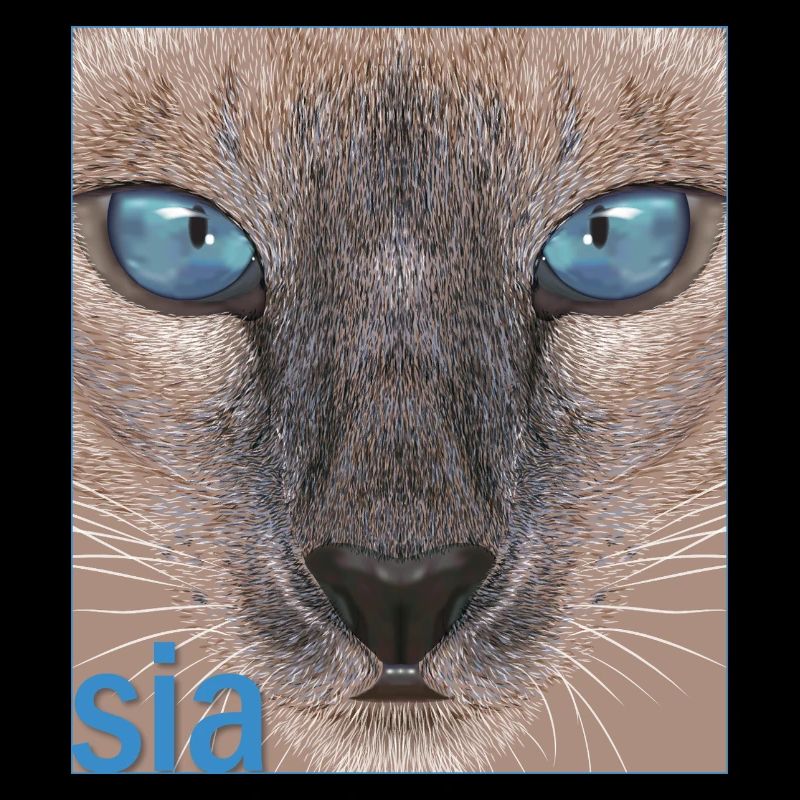 Siamese cat