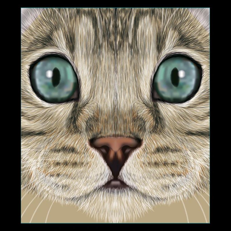 Bengalkatze