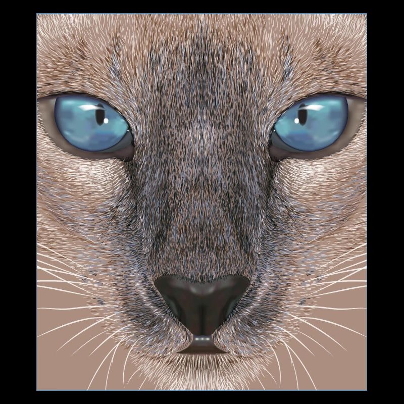 Siamese cat