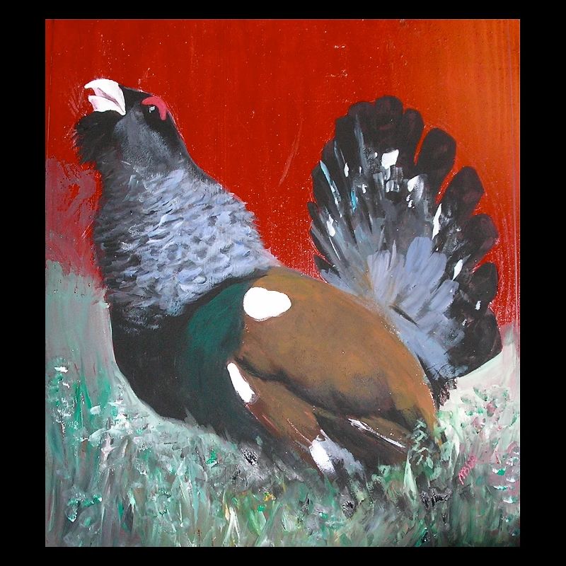 Red background pheasant in nature