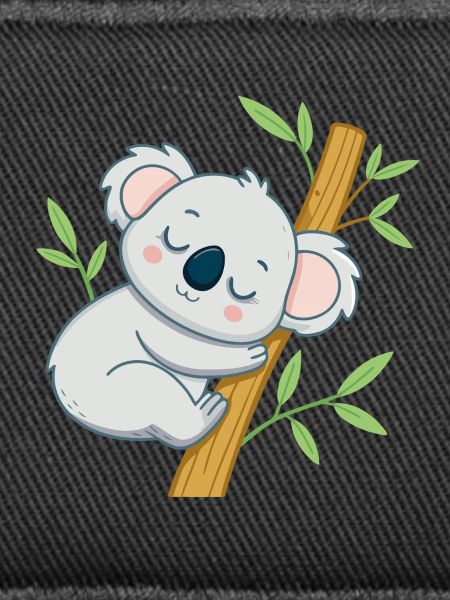 Schläferkoala auf einem Ast