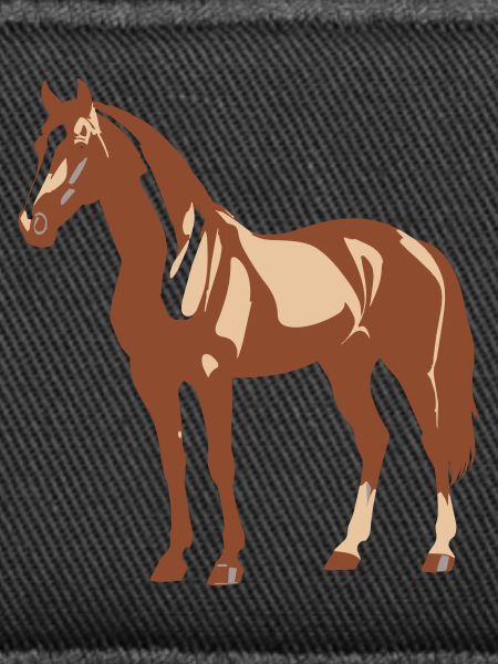Conception de chevaux