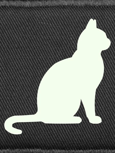 Moonlit Night Cat Silhouette