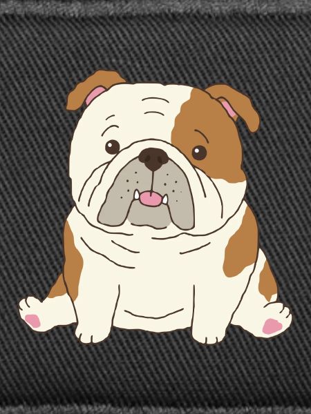 Bouledogue anglais mignon