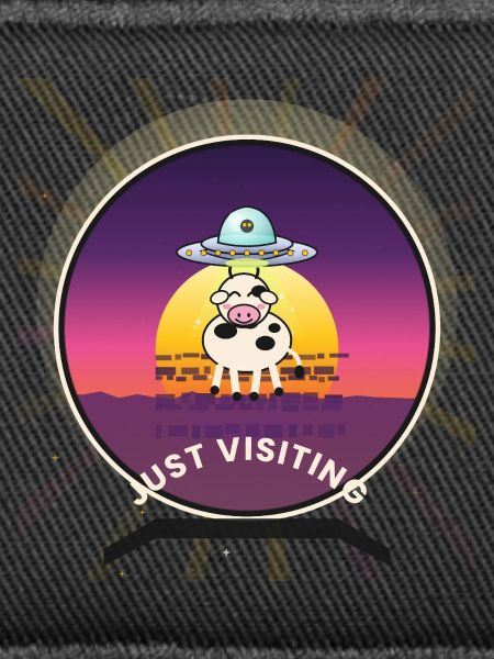UFO Visiting Cow Sunset