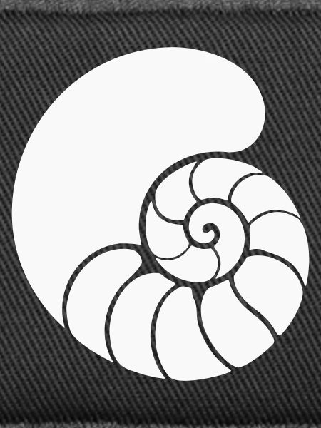 Spiral Pattern Shell