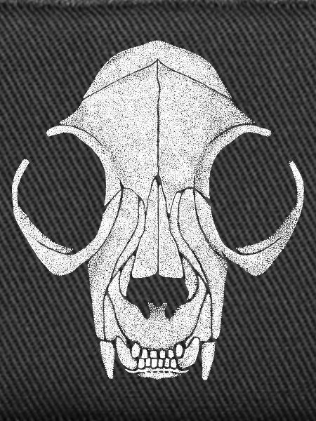 Cat Skull Pointillism