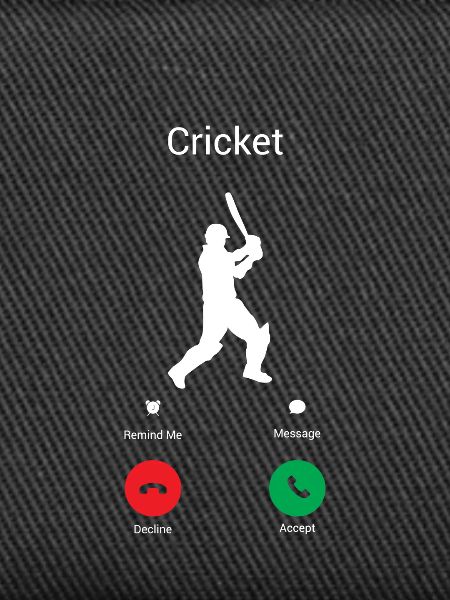CRICKET RUFT MICH