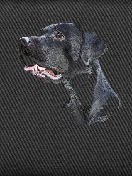 Labrador