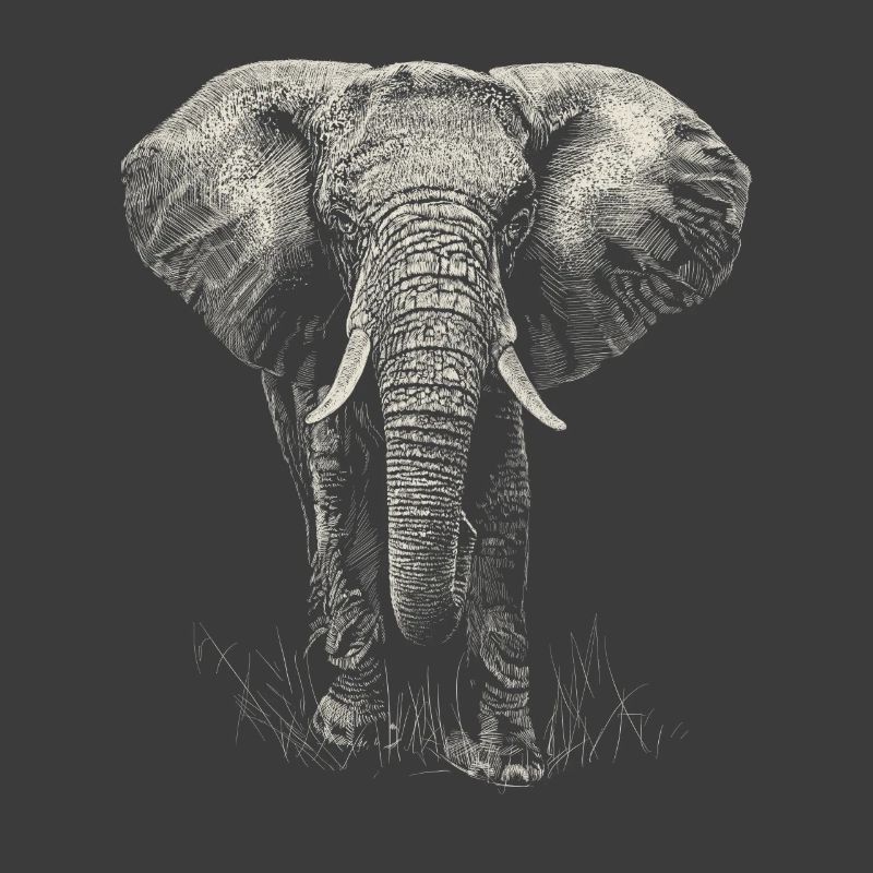 Elefant