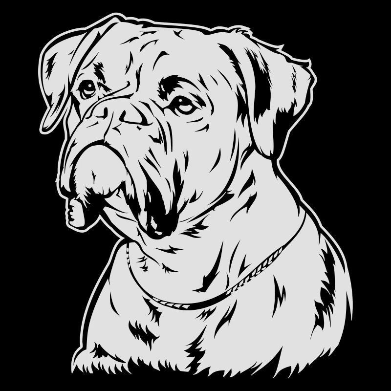 Boxer