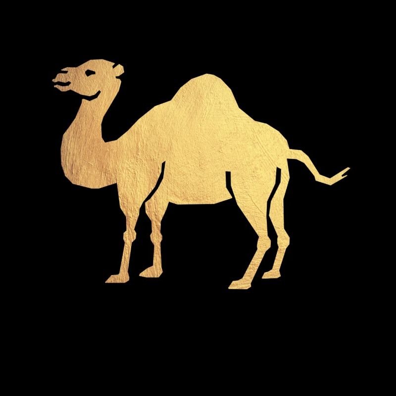 gold camel