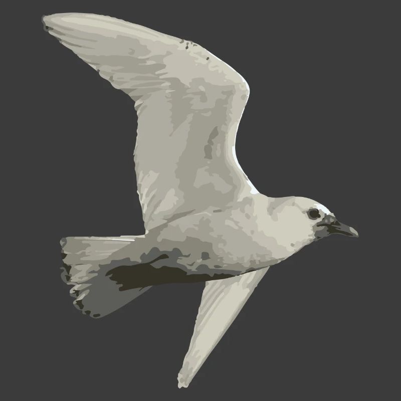 Vogel