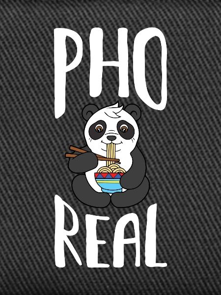 Pho-echte Panda-Suppe-vietnamesisches Nahrungsmittelgeschenk