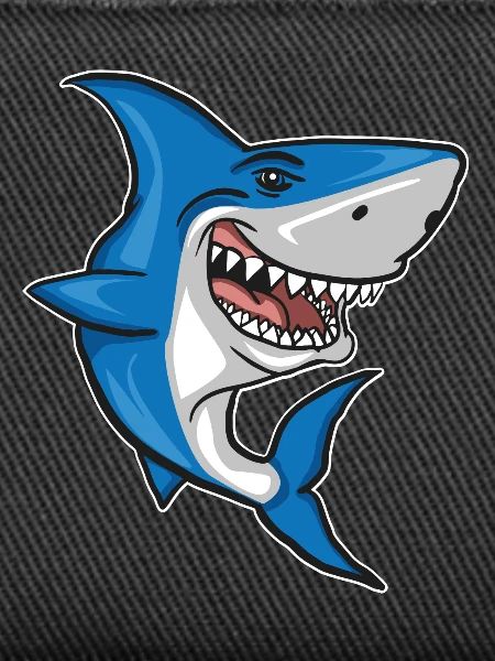 Requin - Poisson