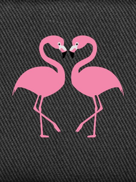 Flamingos