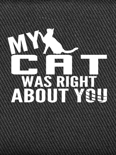 My Cat