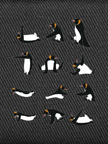 Penguins doing Yoga